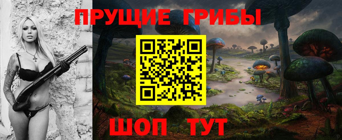 Галлюциногенные грибы Psilocybe Дивногорск