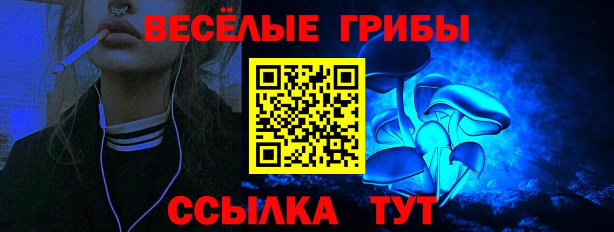 ГЕРОИН Дивногорск